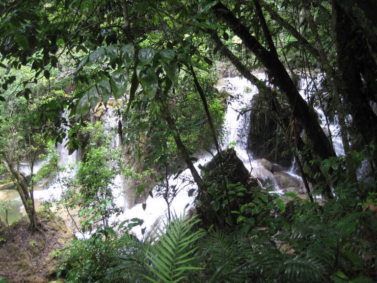 slideshow image